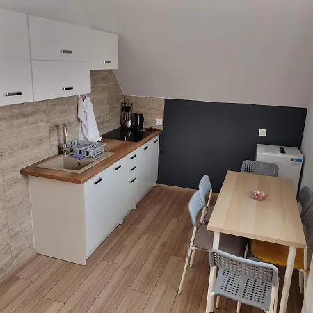 Apartamenty Starosadeckie Stary Sacz Exterior photo